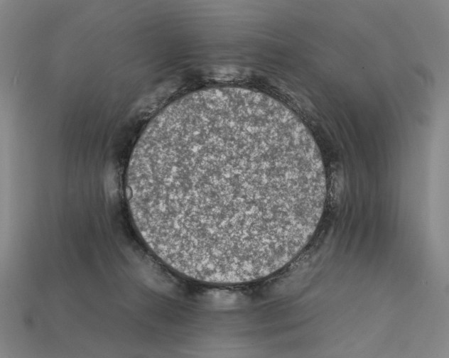 X0000112210272200909181600