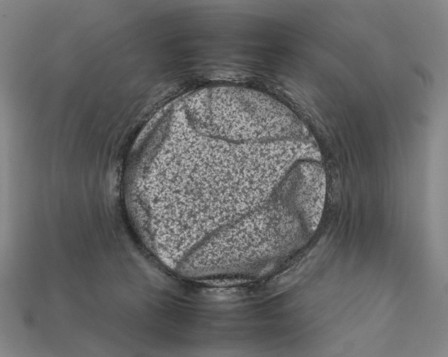 X0000112210273200909181600