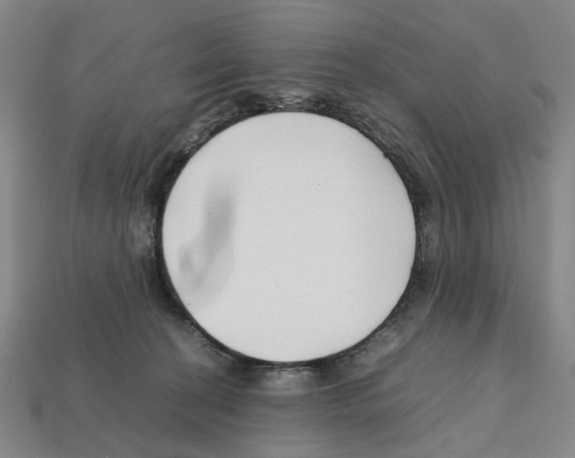X0000112210274200909181600