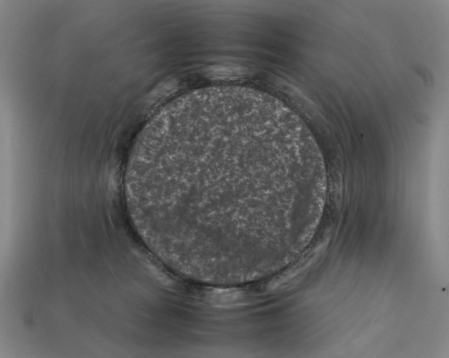 X0000112210277200909181600