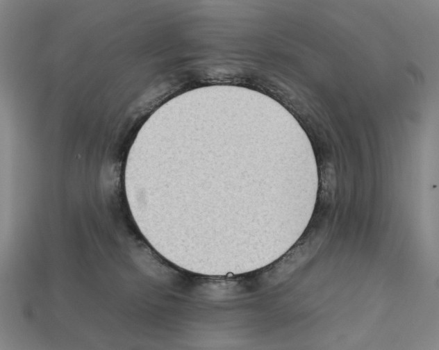 X0000112210278200909181600