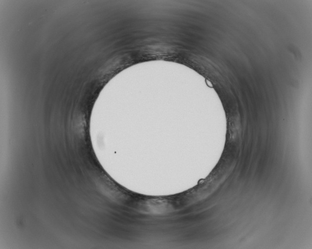 X0000112210279200909181600