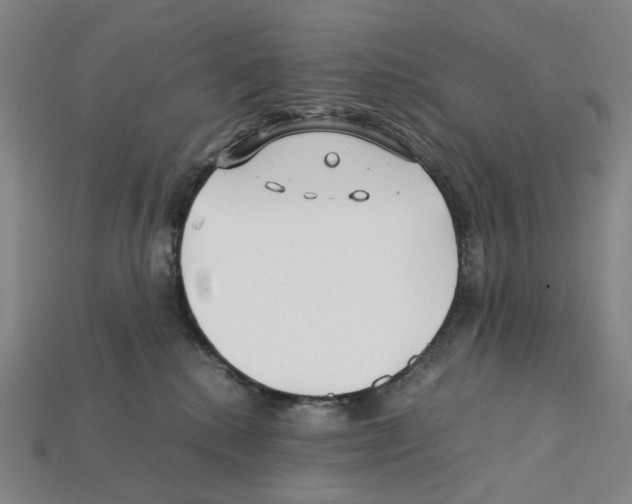 X0000112210280200909181600