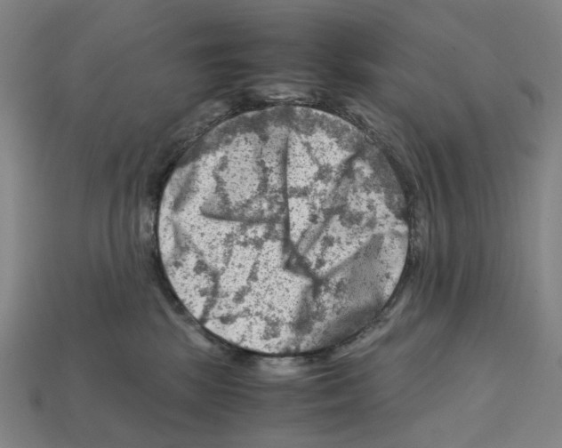 X0000112210281200909181600