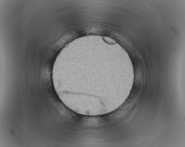 X0000112210282200909181600