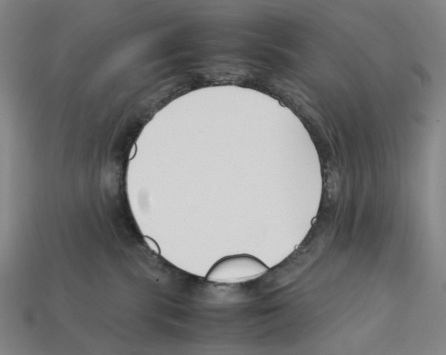 X0000112210283200909181600