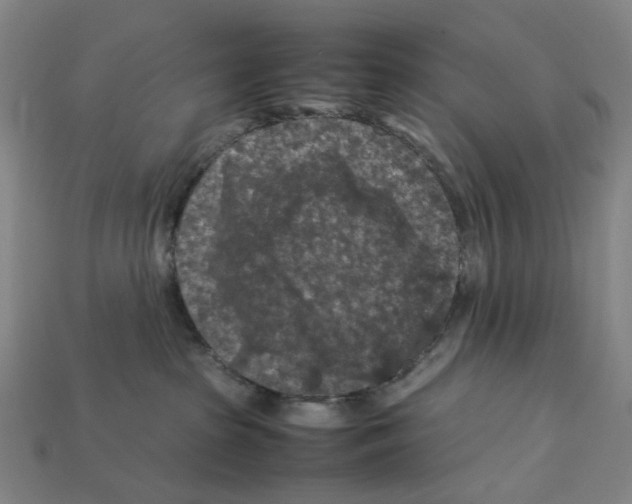 X0000112210285200909181600