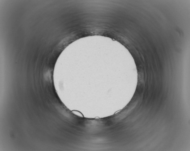 X0000112210286200909181600