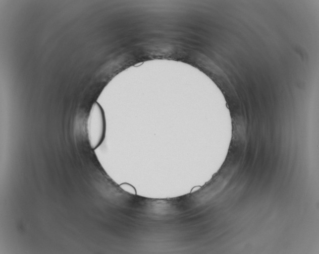 X0000112210287200909181600