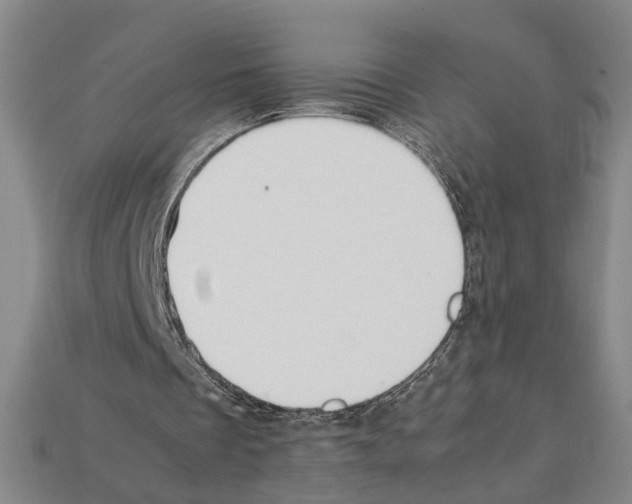 X0000112210289200909181559