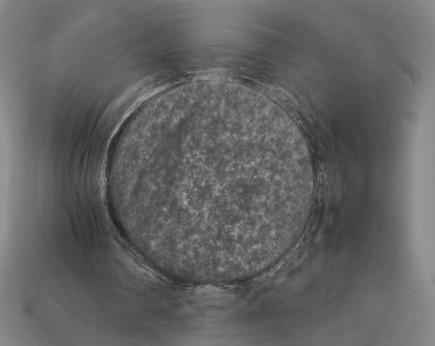 X0000112210290200909181559