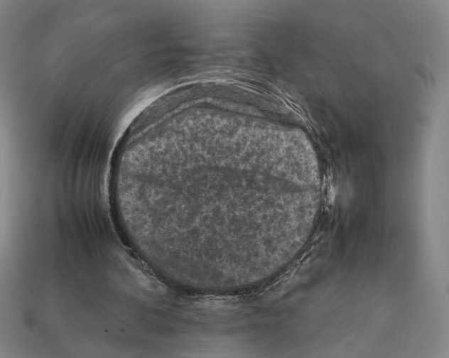 X0000112210292200909181559