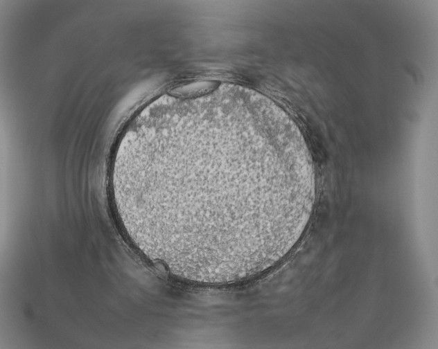 X0000112210293200909181559