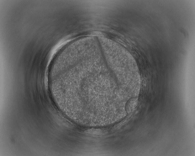 X0000112210294200909181559
