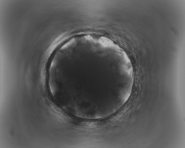 X0000112210295200909181559