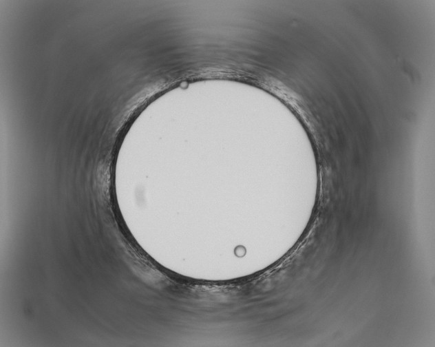 X0000112210297200909181559