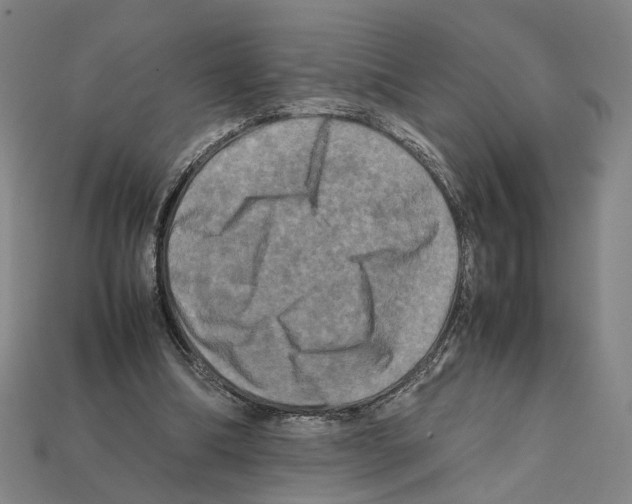 X0000112210298200909181559