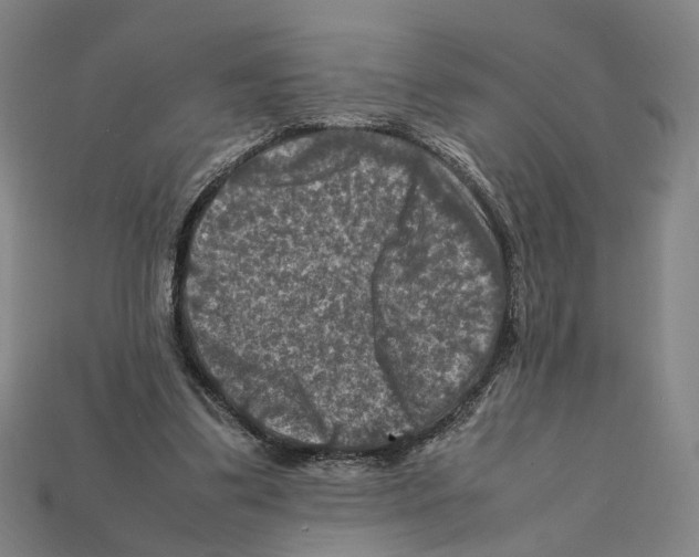 X0000112210299200909181559