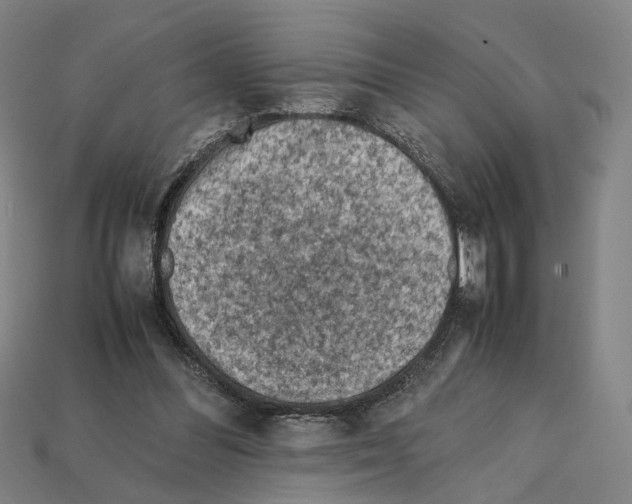 X0000112210300200909181559