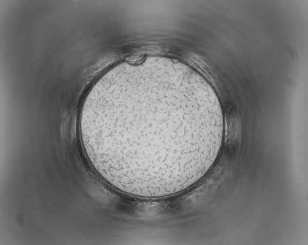 X0000112210301200909181559