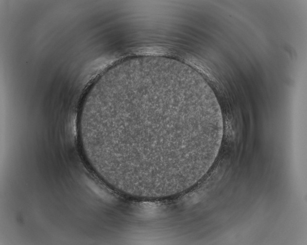 X0000112210302200909181559