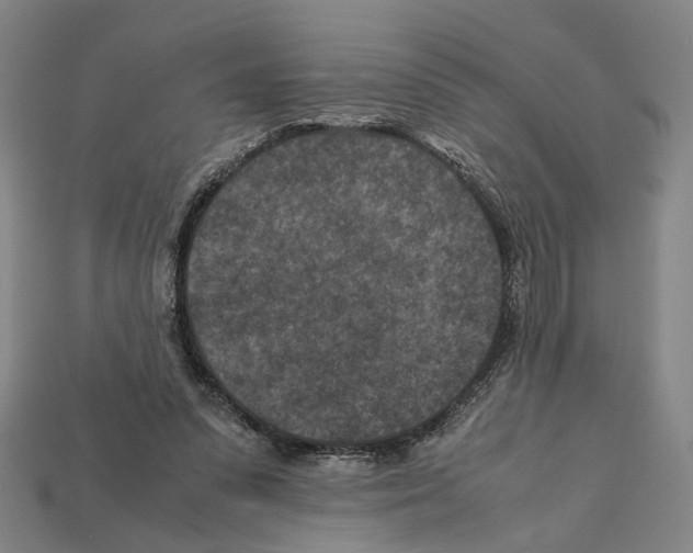 X0000112210303200909181559