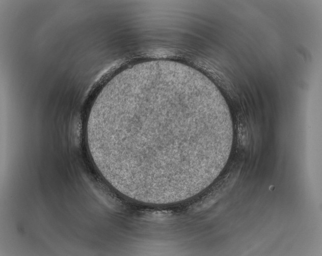 X0000112210304200909181559