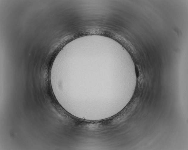 X0000112210306200909181559