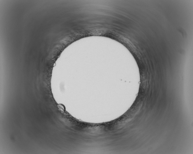 X0000112210307200909181559