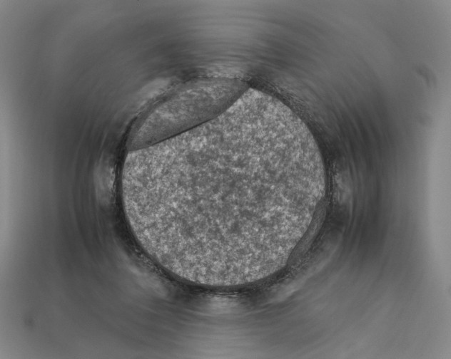 X0000112210308200909181559