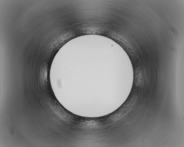 X0000112210310200909181559