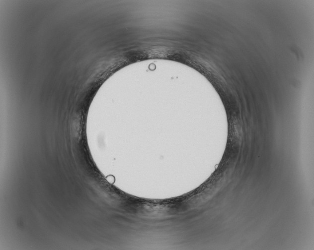 X0000112210311200909181559