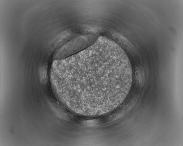 X0000112210312200909181559