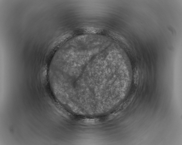 X0000112210314200909181559