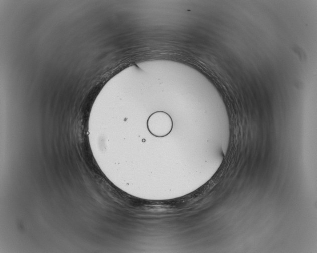 X0000112210316200909181559