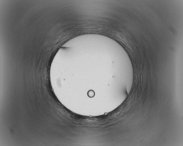 X0000112210317200909181559