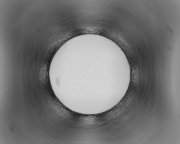 X0000112210318200909181559