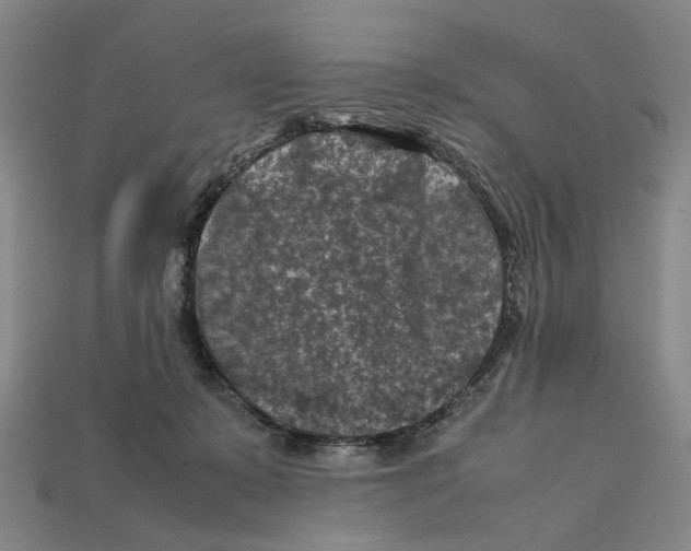 X0000112210319200909181559