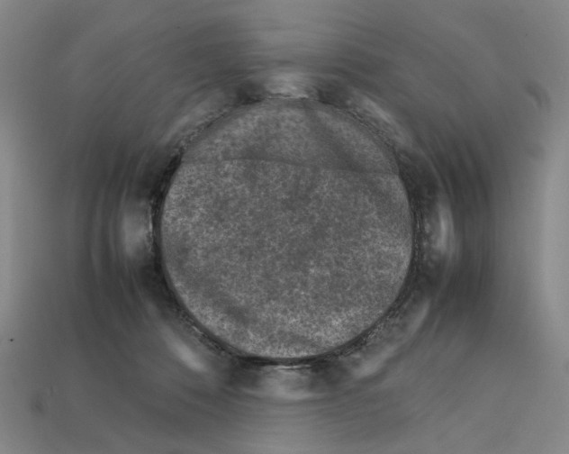 X0000112210320200909181559