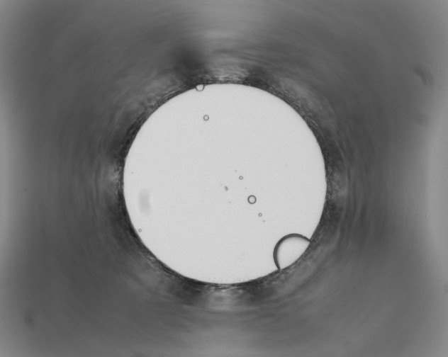 X0000112210321200909181559