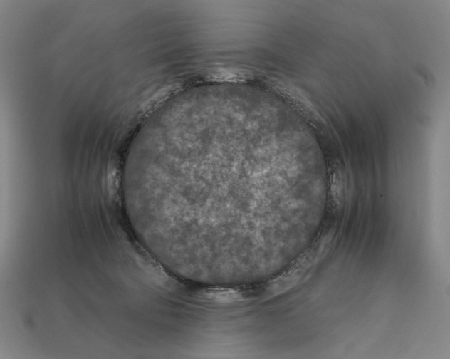 X0000112210322200909181559