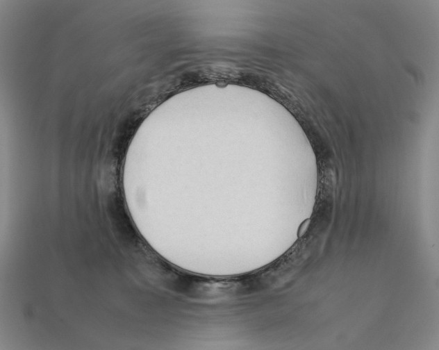 X0000112210323200909181559