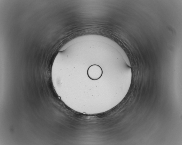 X0000112210324200909181559