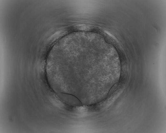 X0000112210325200909181559