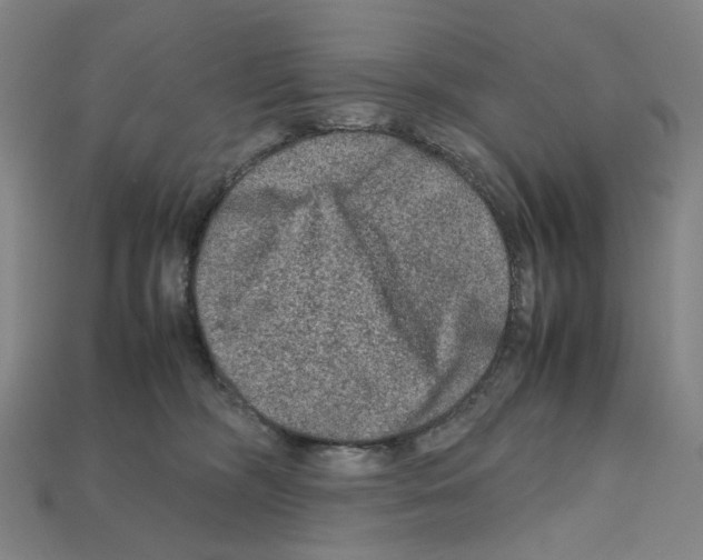 X0000112210326200909181559
