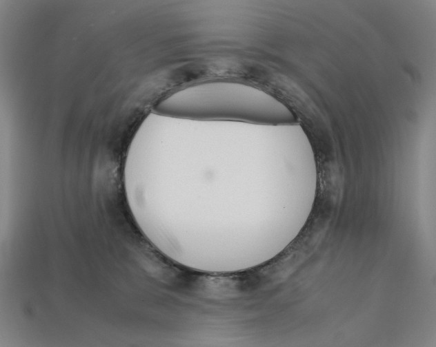 X0000112210327200909181559