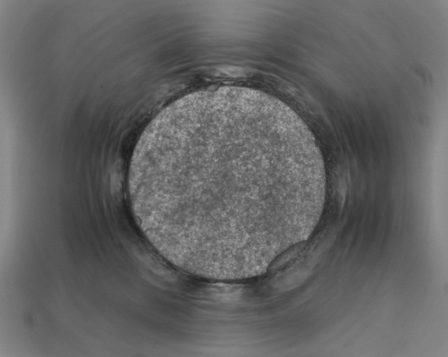 X0000112210328200909181559