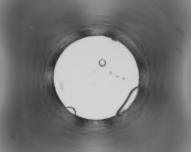 X0000112210329200909181559
