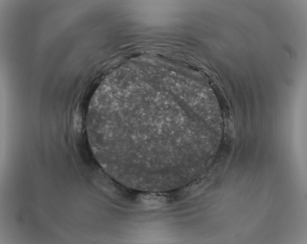X0000112210331200909181559