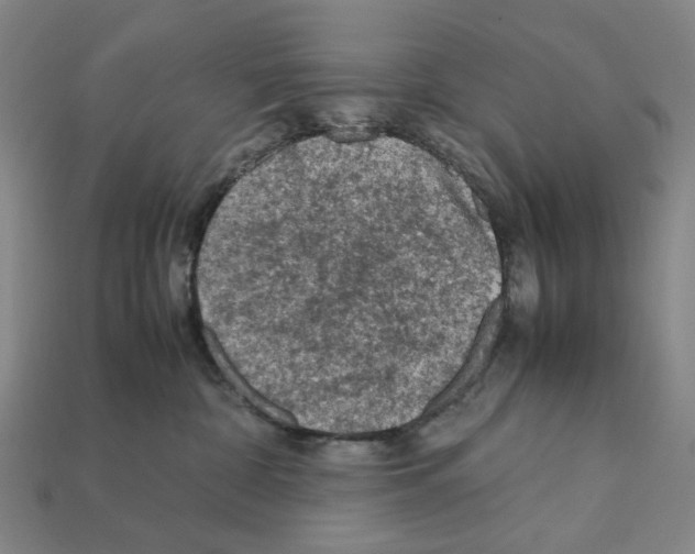 X0000112210332200909181559